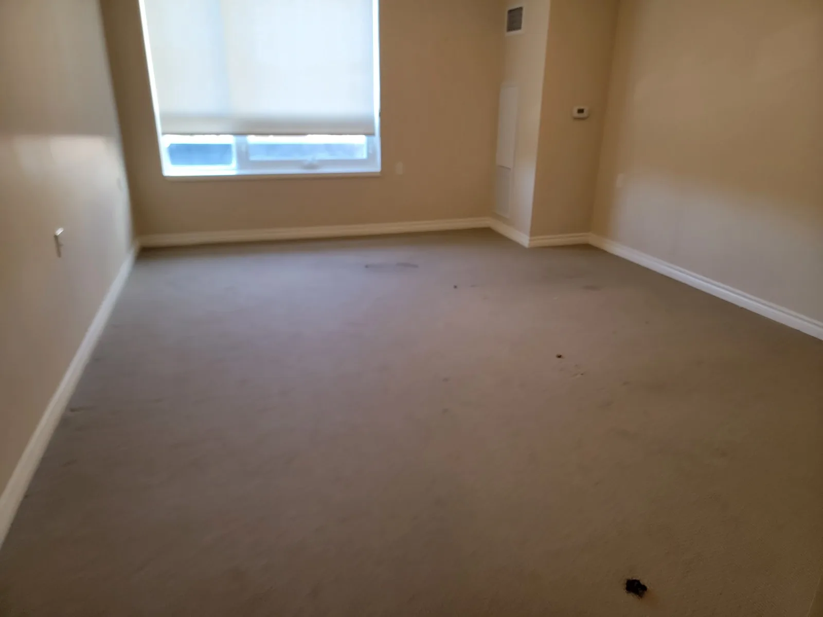 After — Whitby Shores Apartment Cleanlut in Whitby
